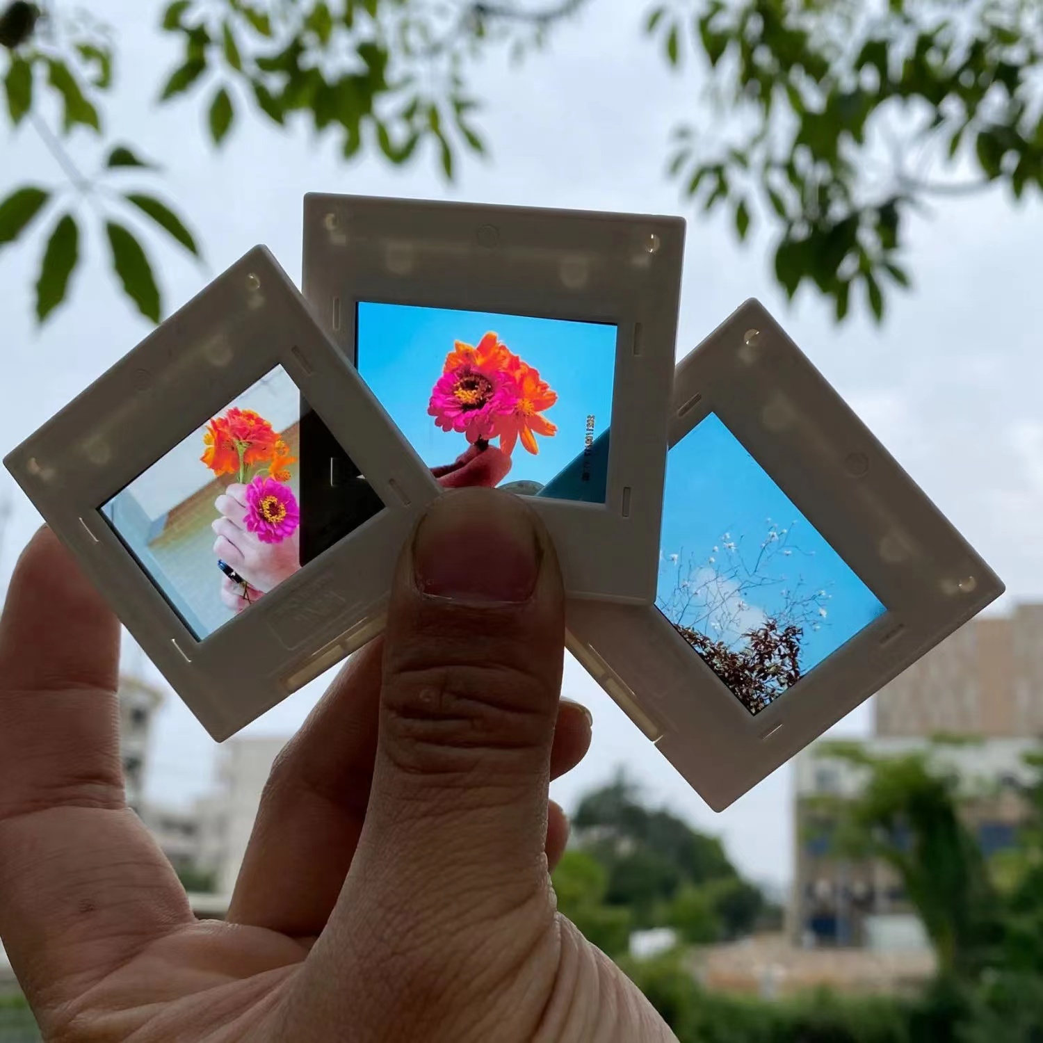 35mm 135 Mm Film Slide Mounts  - Film Camera 35Mm 评论和价格