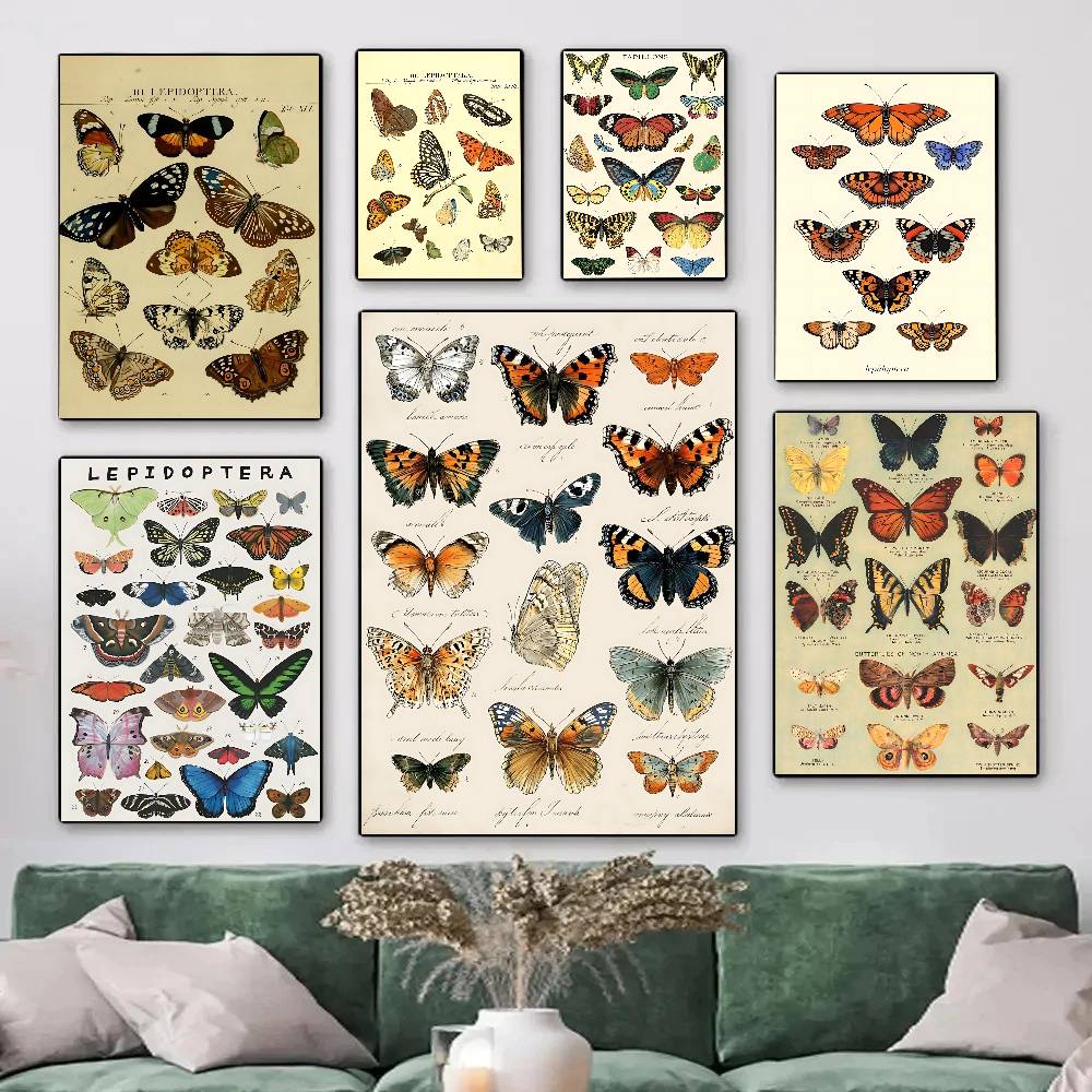 Vintage Butterfly And Insects  - Vintage Collectible Posters 评论和价格