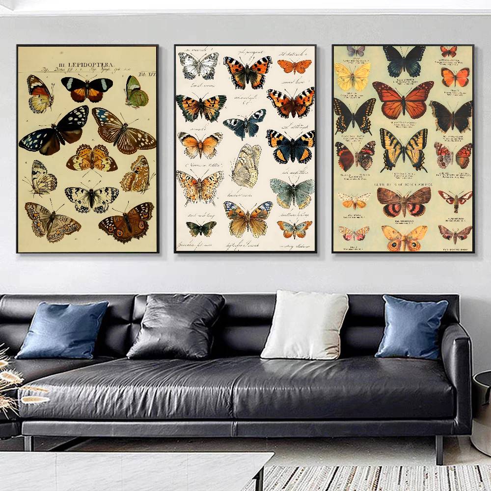 Vintage Butterfly And Insects  - Vintage Collectible Posters 评论和价格