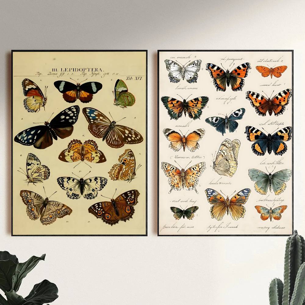 Vintage Butterfly And Insects  - Vintage Collectible Posters 评论和价格
