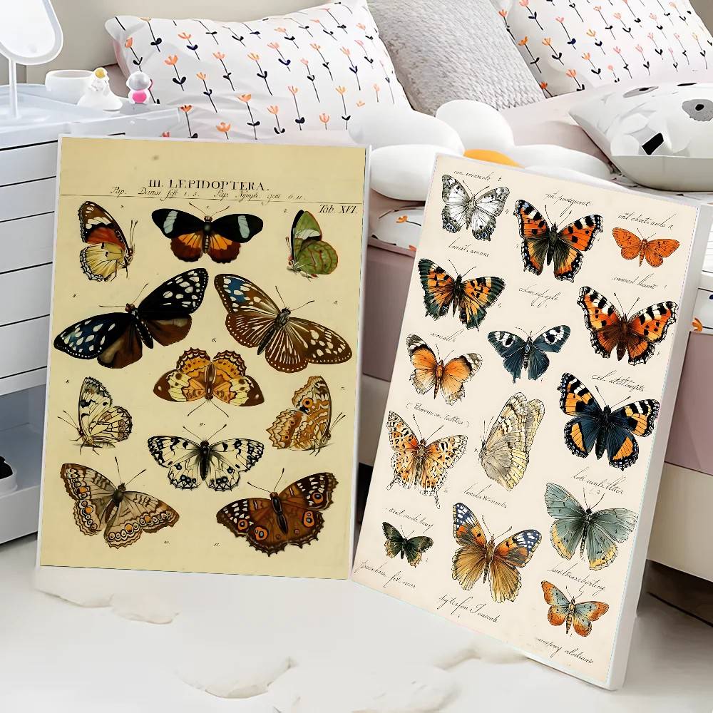 Vintage Butterfly And Insects  - Vintage Collectible Posters 评论和价格